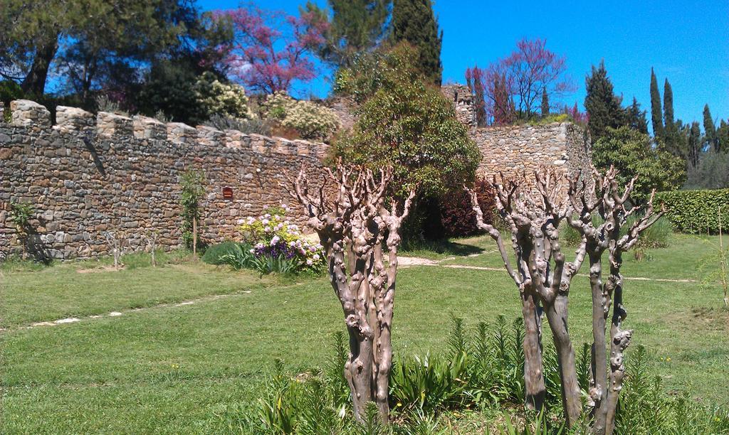 Chateau D'Agel Chambres D'Hotes Dış mekan fotoğraf