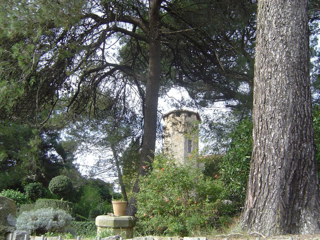 Chateau D'Agel Chambres D'Hotes Dış mekan fotoğraf