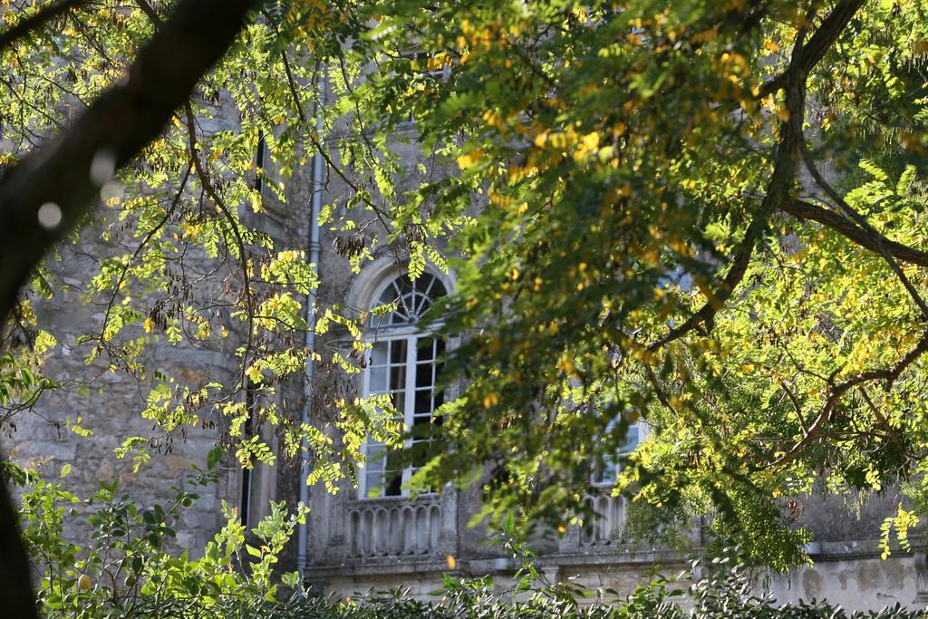 Chateau D'Agel Chambres D'Hotes Dış mekan fotoğraf